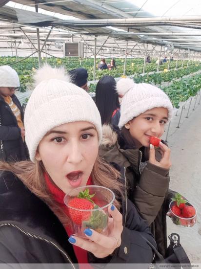 ชอบอากาศหนาวๆ กับสตอเบอรี่ที่นี่มากค่ะ อร่อยมาก ติดใจทัวร์ที่นี่และจะแนะนำให้เพื่อนๆ มาเที่ยวค่ะ K.Sunny